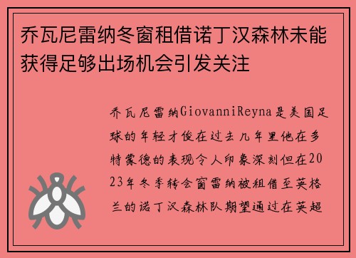 乔瓦尼雷纳冬窗租借诺丁汉森林未能获得足够出场机会引发关注 乔瓦尼雷纳冬窗租借诺丁汉森林未能获得足够出场机会引发关注